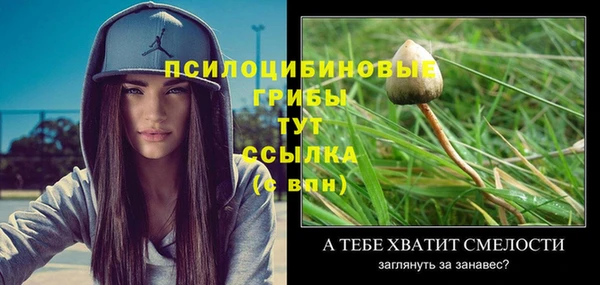 apvp Сосновка