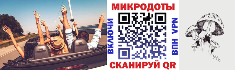 Галлюциногенные грибы Psilocybe Черноголовка