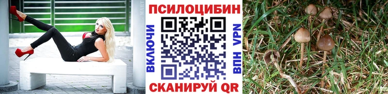 Галлюциногенные грибы Magic Shrooms  купить   Черноголовка 