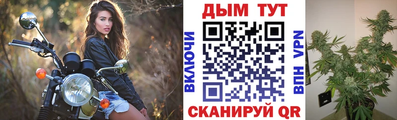 Конопля Bruce Banner  Черноголовка 